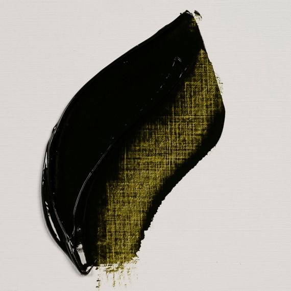 Olejové barvy Rembrandt 40ml - Série 2: Olive green 620