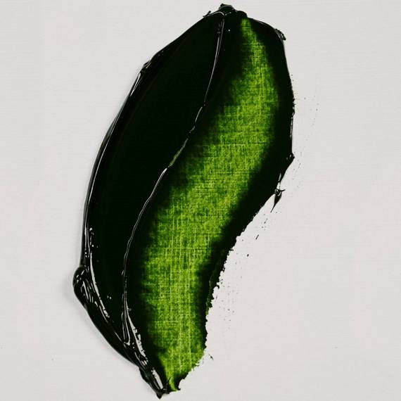 Olejové barvy Rembrandt 40ml - Série 2: Sap green 623